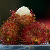 Rambutan - Caesar - Fruit Plant