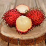 Rambutan - KG10 - Fruit Plant