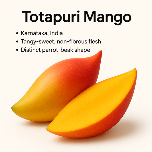 Mango - Totapuri (Bangalora) Fruit Plant