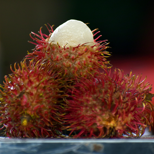 Rambutan - Caesar - Fruit Plant