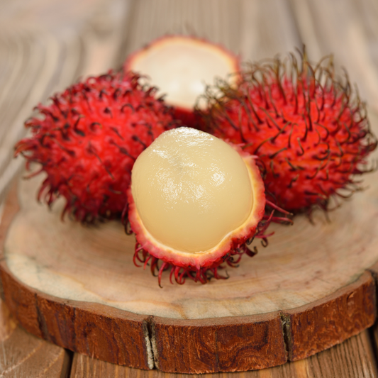 Rambutan - KG10 - Fruit Plant