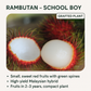 Rambutan - School Boy - Fruit Plant